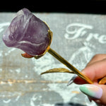 Amethyst Rose